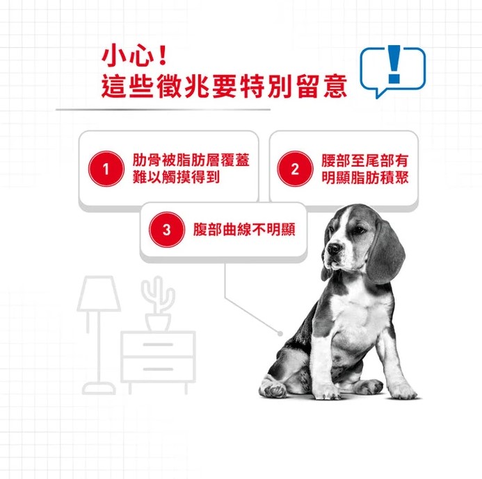 屏幕撷取画面 2026-08-28 121201.jpg