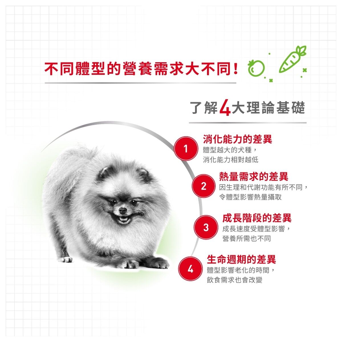 royal-canin-senior-dog-food-x-small-adult-8-plus-hk-2-rc-xss-c.jpg