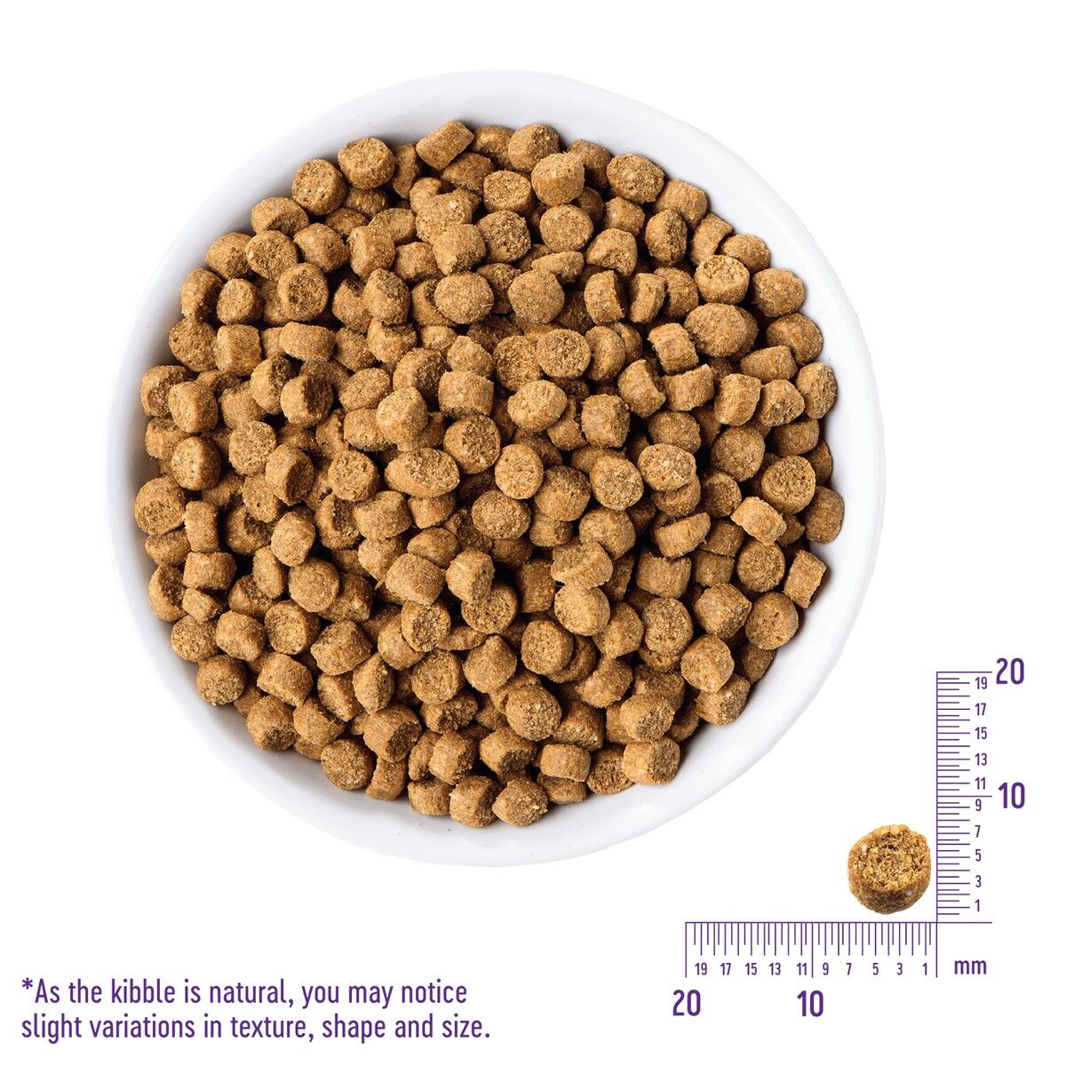 wellness-core-plus-indoor-chicken-turkey-kibble_1.jpg