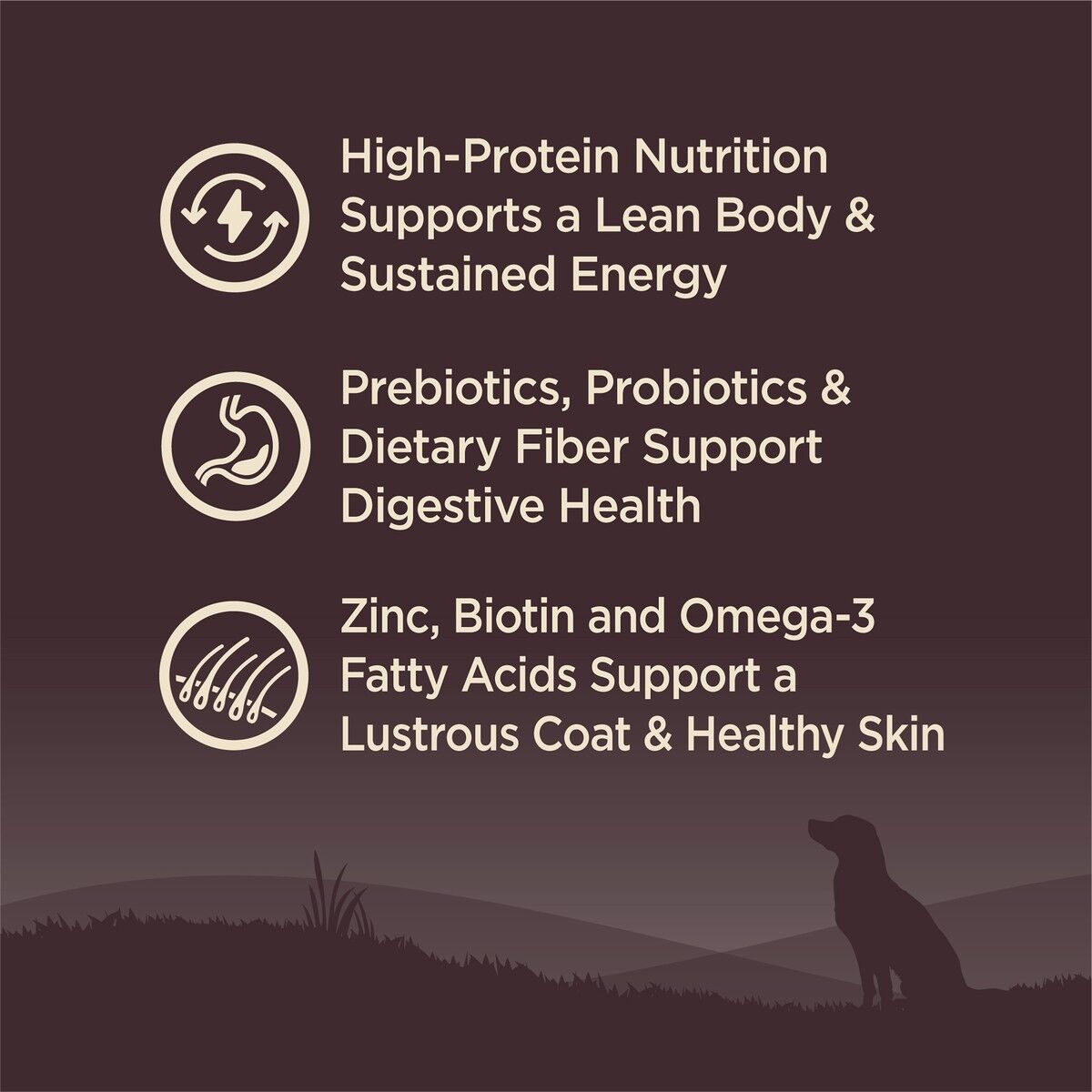 wellness-core-grain-free-small-breed-original-benefits_3.jpg