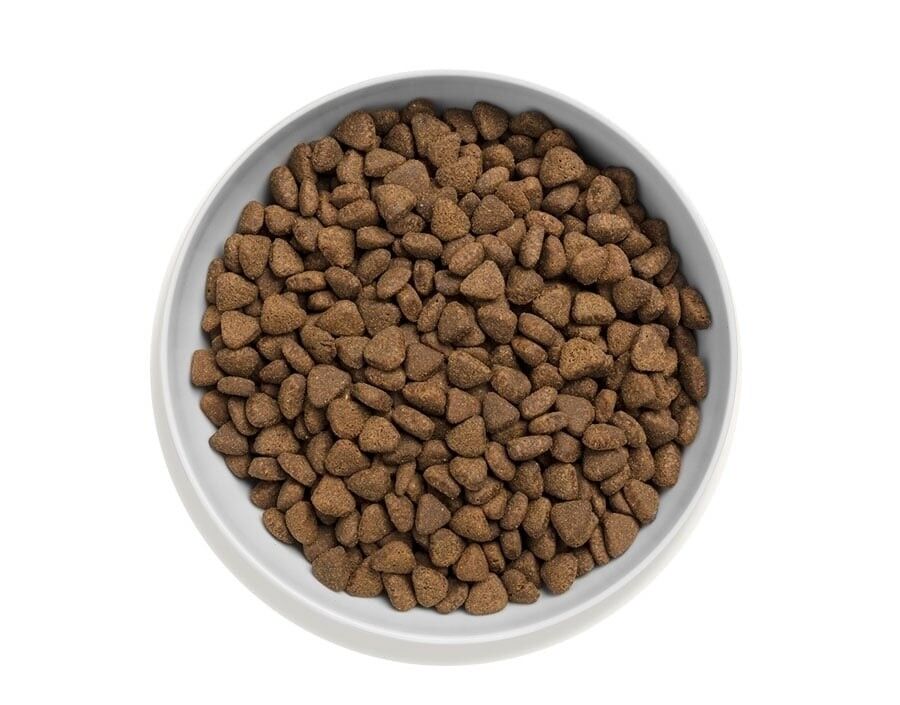 canagan-cat-light-senior-kibble.jpg